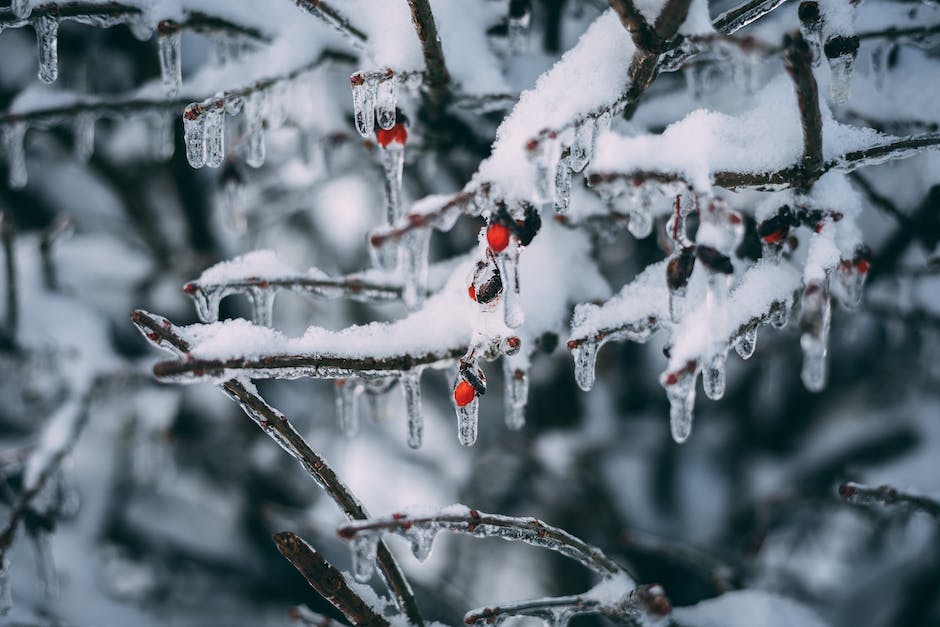  wochen bis Weihnachten zählen